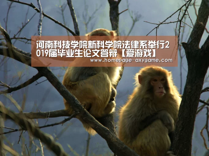 河南科技学院新科学院法律系举行2019届毕业生论文答辩【爱游戏】
